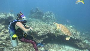 PADI AWARE Coral Reef Conservation Specialty