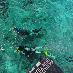 Discover Scuba Diving Course