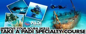 Specialty Courses