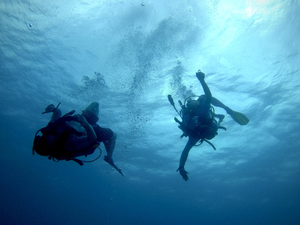 Open Water Referral