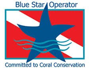 Blue Star Dive Center Key Largo