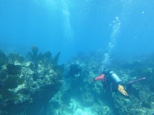 Wreck Diver Specialty