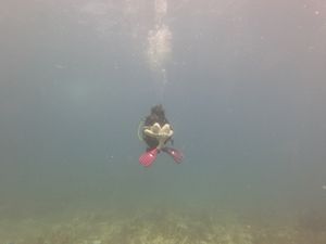 PADI Enriched Air Nitrox (No E-Learning Option)