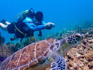 PADI Tec 40 Diver Course