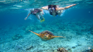 Top Snorkeling Destinations: A Guide to Key Largo’s Best Reefs