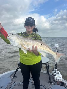 A 29.5-inch redfish made an unexpected appearance while trout fishing with croaker, turning a great morning into an even better one.