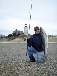 Bass captured in Cape Cod, MA