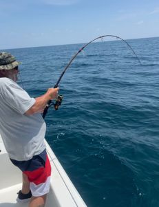 Charleston offshore fishing