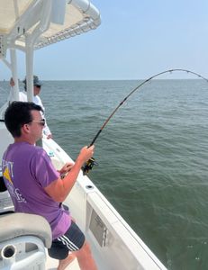 Deep sea fishing Charleston Adventure