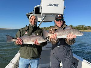 Cold front stacked the flats with fast bites and a full Lowcountry mix today