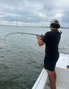 Explore Charleston's abundant fishing spots