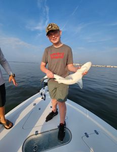 Experience the thrill of fishing in Charleston