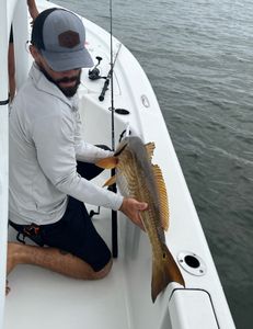 Discover the best fishing in Charleston