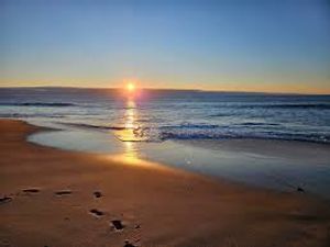 Top Things to Do in Chincoteague