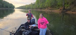 Last shad run on the Roanoke River with a few still biting