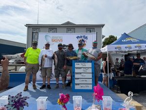 Strong Start at the Hard Yacht Tournament