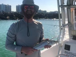 Consistent Action on Snook, Reds & Trout