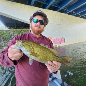 Channel Cats and Smallmouth Biting Strong – Book Your River Trip!