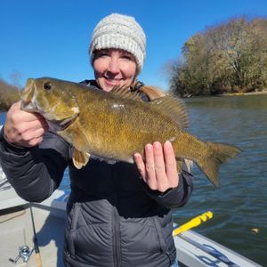 Weekday Smallmouth Action Heating Up – Call to Book!
