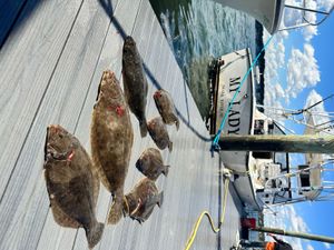 Flounder Fishing In New Jersey