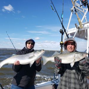Bottom Fishing in New Jersey