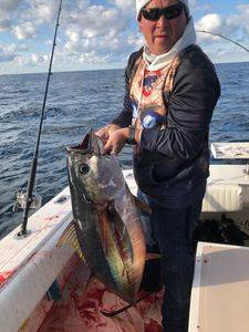 Yellowfin tuna Fishing In New Jersey