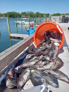 Neptune City Fishing Charter