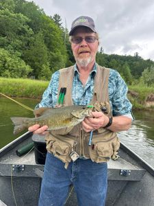 Manistee River Smallmouth Bass Fly Fishing Trips