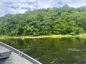 Smallmouth Fly Fishing Action in August