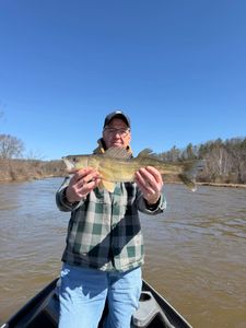 Spring river walleye success with Ron