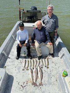 Hot Morning Bite, Let’s Go Fishing