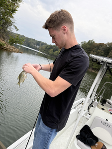 Nolin Lake Fall Fishing: Bass, Crappie & White Bass Action