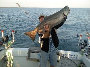 Large Salmon Fishing in Lake Ontario!