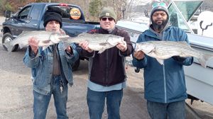 Best Striped Bass in the area - Lake Murray, SC