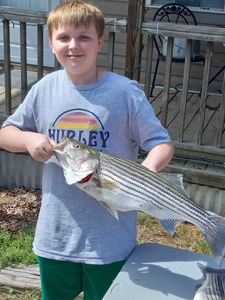 Kids had fun catching their Striped Bass!
