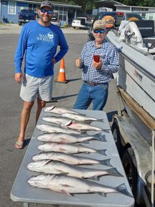 successful catch of Striped Bass - Lake Murray, SC