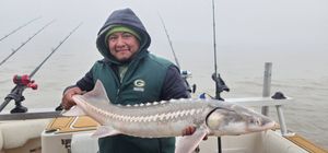 Winter Sturgeon Action Is Steady – Bigger Days Ahead with Warmer Weather! Call 510-418-6868