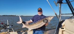 3/7 Sturgeon Bite Remains Hot – Lock in Your Trip Now! Addictive Sport Fishing | 510-418-6868