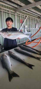Private Charter Scores a Bay Bass Limit