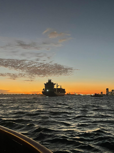 Florida Fishing Report