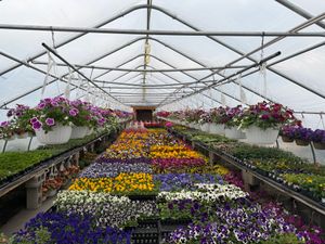 Top Attractions To Visit In Mexico, NY