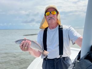 What’s Biting Now and Where to Cast in Biloxi