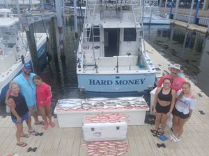 Helping the Gulf Coast Fish Chill Out in Style!