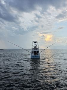 Hard Money Prepped and Ready for Baypoint Billfish Open!