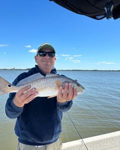 Crystal River's Premier Redfish Fishing Excursions