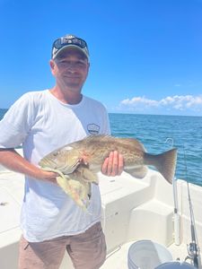 Grouper Bounty In Florida Waters