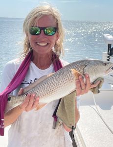 Trophy-Sized Redfish Capture In Florida Waters