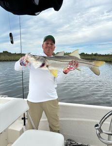 Crystal River Fishing: Snook Caught!