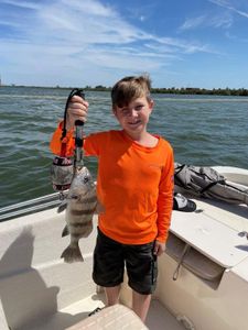 Crystal River's finest fishing and Sheepshead