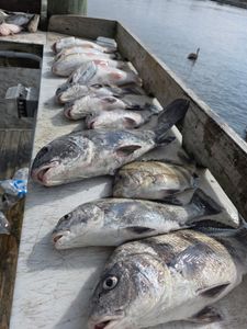 Mixed Bag Success with Returning Crew